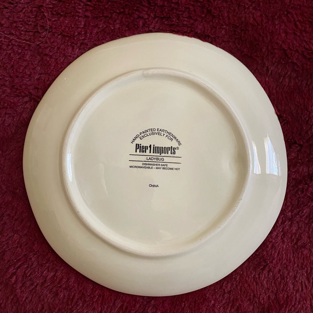 Pier 1 Imports Ladybug Earthenware Plate - Picture 2 of 5
